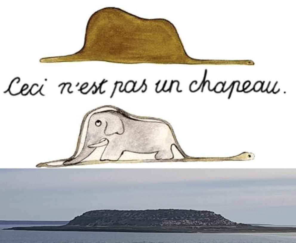 elefante-isla-pajaros