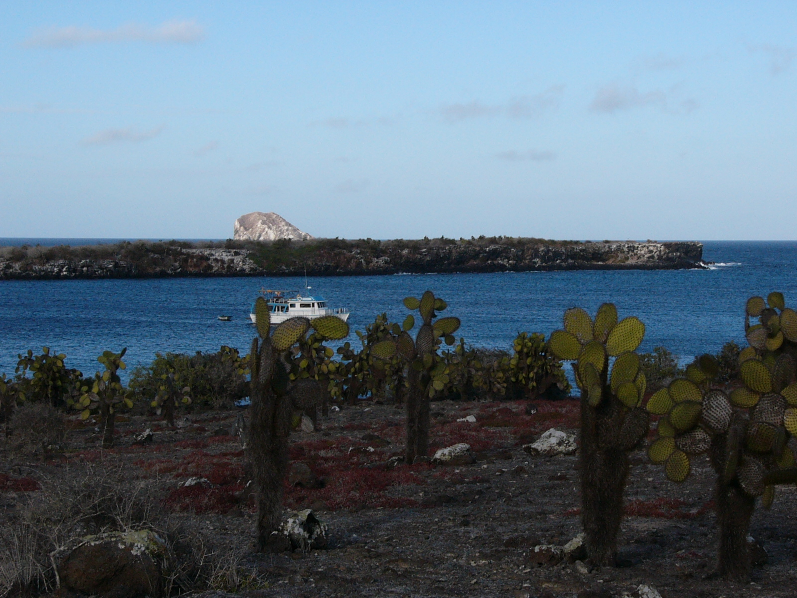 Isla Plaza Sur